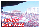 vive wac
